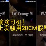 賤狗騷M《震驚滴滴司機！在車上發騷用20CM假屌自插》Young-M